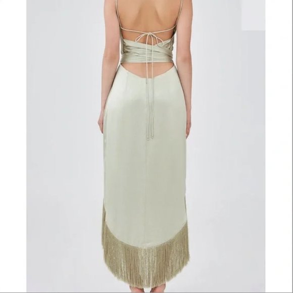 NWT Keepsake Passion Dress - Picture 3 of 5